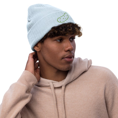 Pickle Embroidered ribbed knit beanie