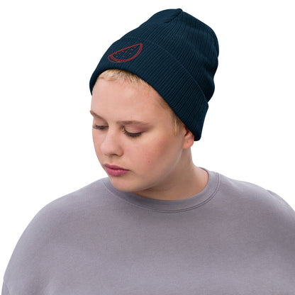 Melon Embroidered ribbed knit beanie